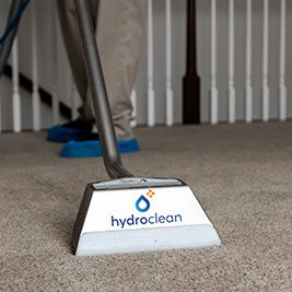 Carpet Cleaning