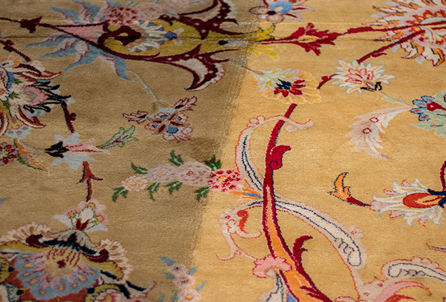 Area rug cleaning service