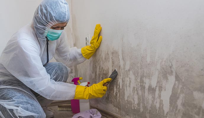 worker of cleaning service removes mold from wall using spray bottle with mold removal